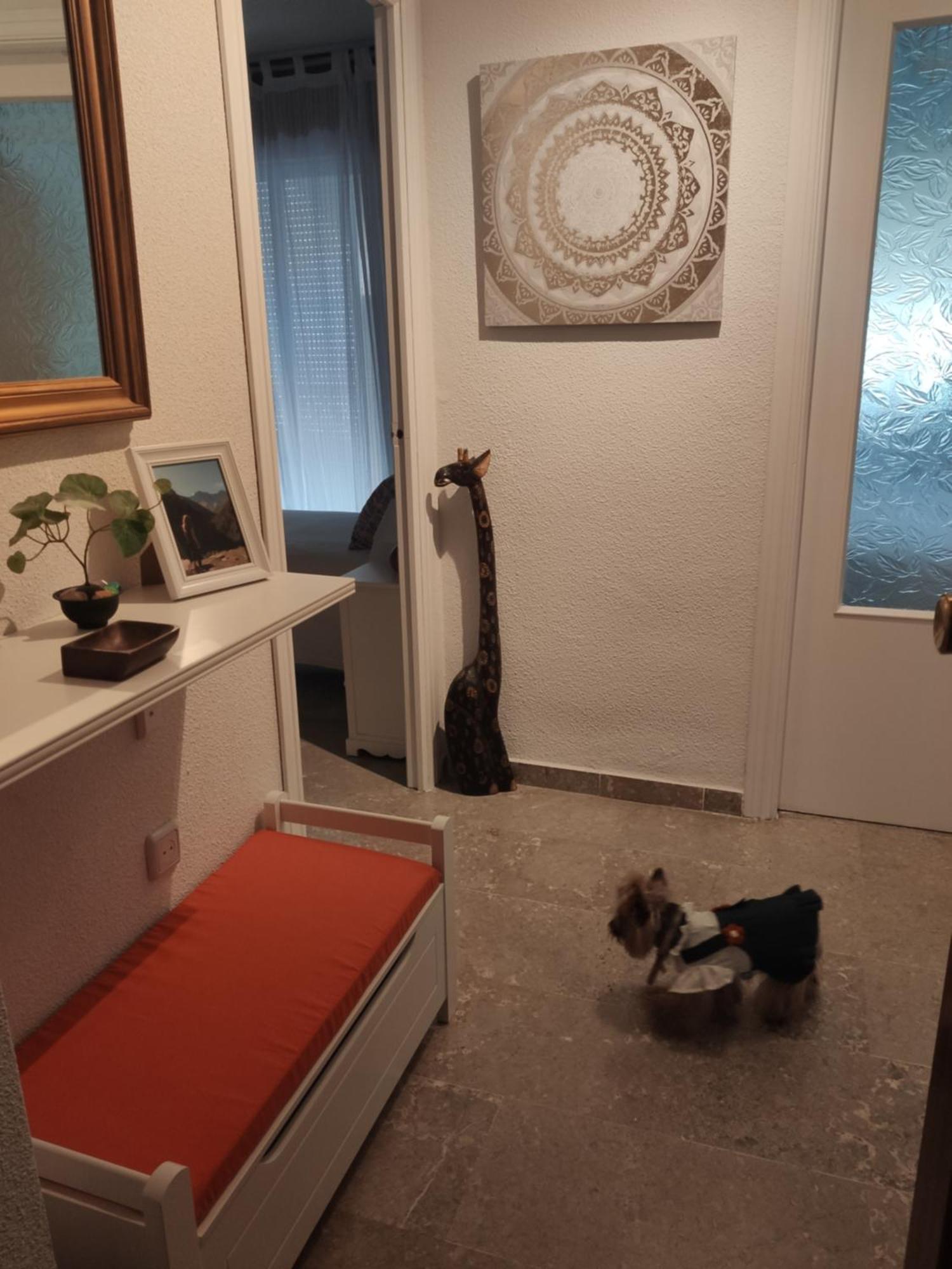 Apartamento Tropicana 1° línea Almuñécar Esterno foto